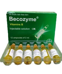 Becozyme 2ml (Hộp 2 vỉ x 6 ống)