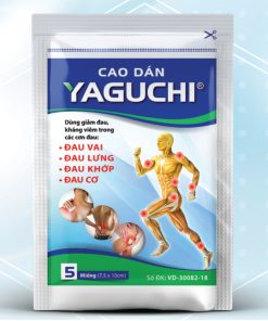 Cao dán Yaguchi (Hộp 20 gói x 5 miếng)