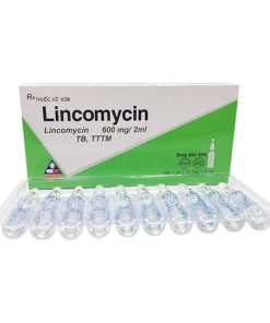 Dung dịch tiêm Lincomycin 600mg/2ml Vinphaco điều trị nhiễm khuẩn xương, phụ khoa (1 vỉ x 10 ống)