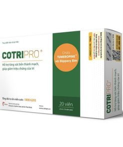 Viên uống Cotripro Thái Minh hỗ trợ tăng sức bền thành mạch, giảm triệu chứng của trĩ (2 vỉ x 10 viên)