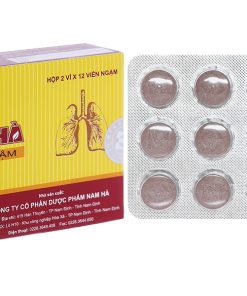 Viên ngậm ho Bổ Phế Nam Hà tiêu đờm, bổ phổi, sát trùng họng (2 vỉ x 12 viên)