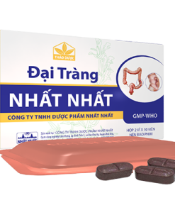 Thuốc Đại Tràng Nhất Nhất điều trị viêm đại tràng, tiêu chảy, rối loạn tiêu hóa (2 vỉ x 10 viên)
