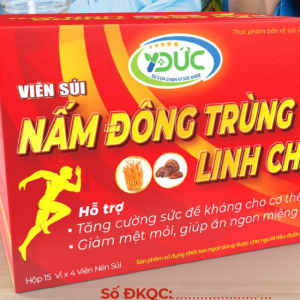 Hỗ trợ tăng sức đề kháng Viên sủi Nấm Đông Trùng Hạ Thảo Linh Chi hộp 15 vỉ x 4 viên nén sủi
