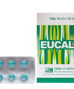 Thuốc Eucalyptin Dược 3/2 sát trùng đường hô hấp (10 vỉ x 10 viên)