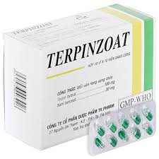 Viên nang Terpinzoat 100mg/50mg trị ho, long đờm trong viêm phế quản cấp, mãn tính (10 vỉ x 10 viên)