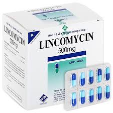 Thuốc Lincomycin 500mg Vidipha điều trị nhiễm khuẩn tai mũi họng, phế quản, phổi (10 vỉ x 10 viên)